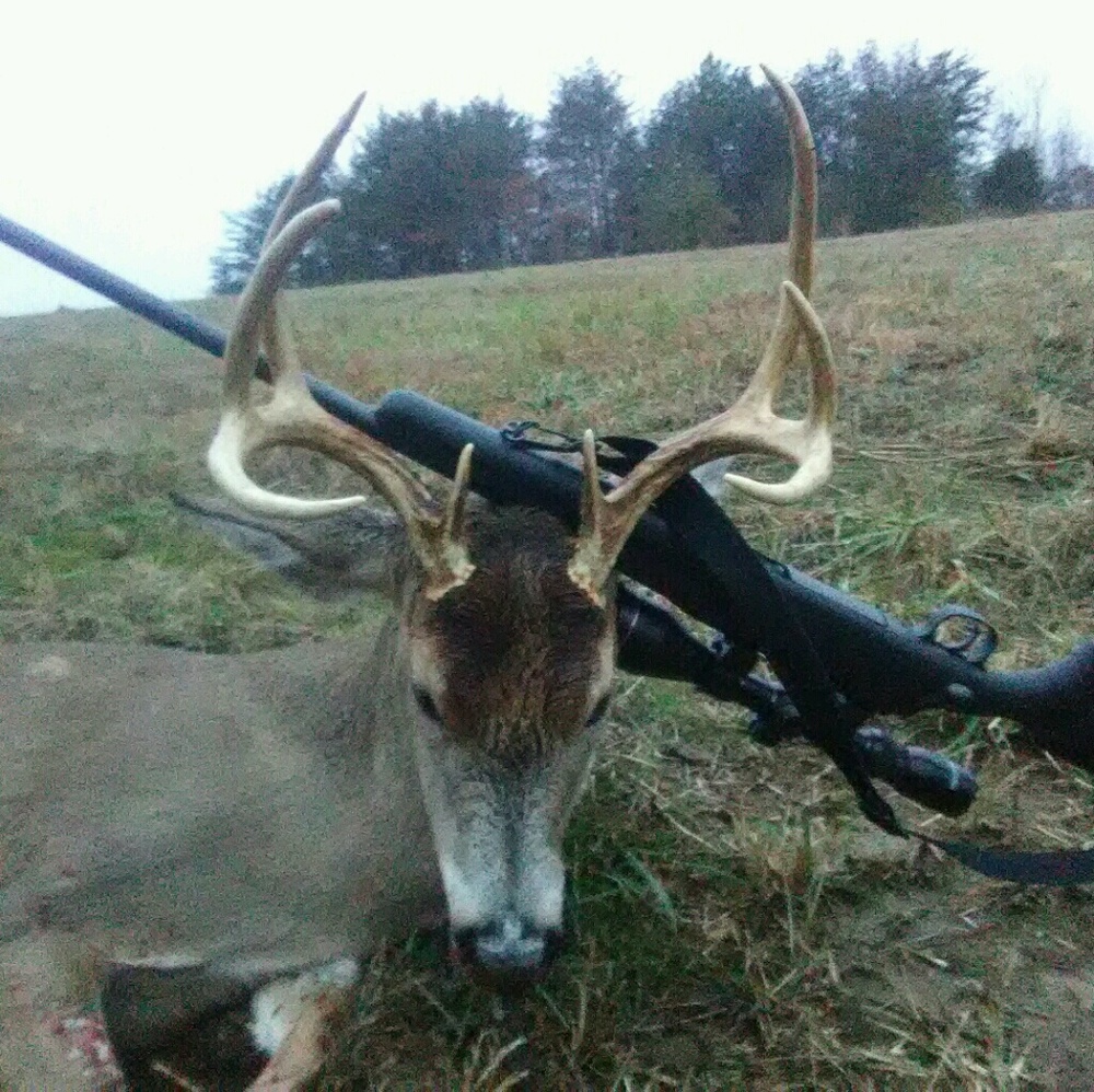 Meet your Posher, Monica